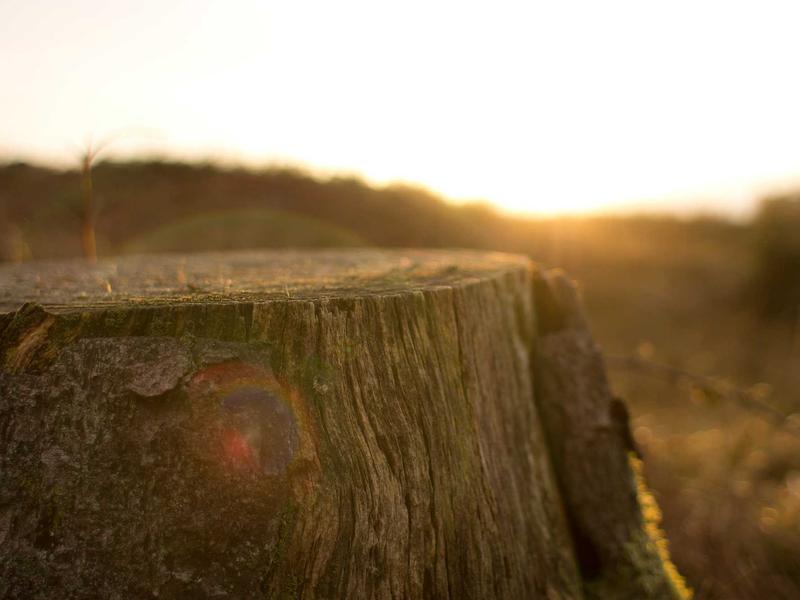 sudoku limited event screenshot 6